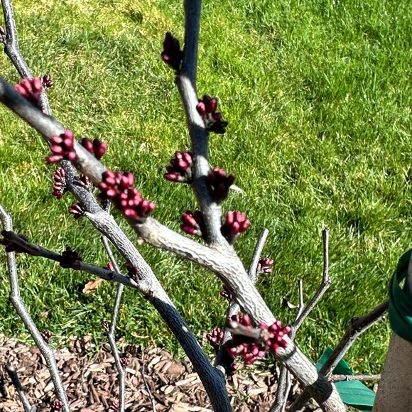 Closet clear out! Offers accepted! - Picture 1 of 1